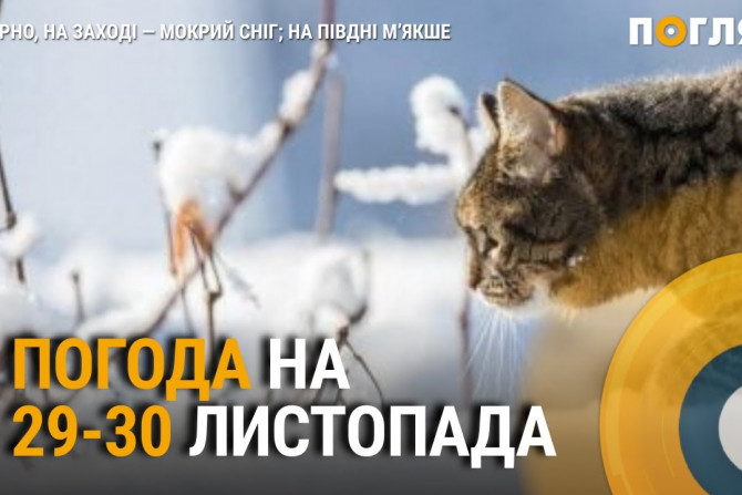 Погляд — новини Київщини онлайн - a077e03d-2de8-425f-8066-2718e5d33016 - зображення